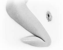 The Walmart Game by Billy Monday