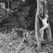 Forest Nude 4 by Charles W. Slate