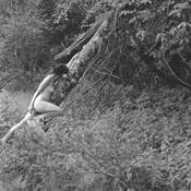 Forest Nude 6 by Charles W. Slate