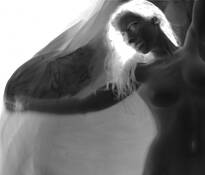 Bird on Fire by Dan Dozer