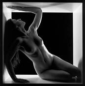 Trapped by Dan Dozer