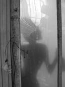 Dancer by David Johns