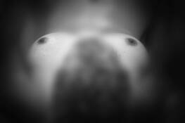 Nude Reclining by Larry Torno