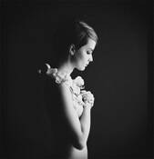 Orchid by Lucy Dankova