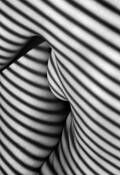 Sabina's Stripes by Michael Slack
