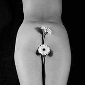 Nude With Flowers by Rajmund Rajch