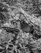 Lost Tractor by Jack McGonigle