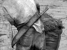 Working Tool by Leandro Montes Garcia