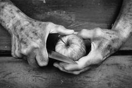 A Slice of Still Life by Lon Casler Bixby