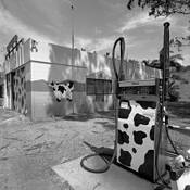 Mooball Cafe by Mark Lacey