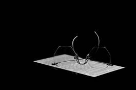 Read by Natalie Morawsky