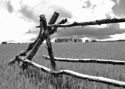 Wide West by Patti Taylor