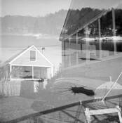 Winter to Spring by David Johns