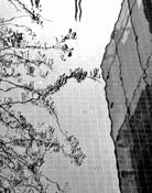 City Center by Sorin Costache