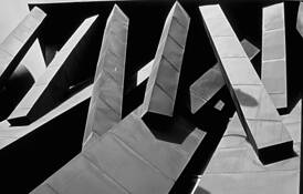 Frank Gehry 2 by Sorin Costache