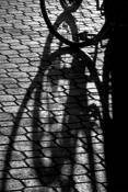 Bike Shadows by Cheryl Shepard