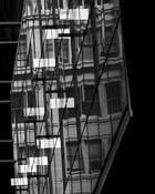 Diamond by Cheryl Shepard