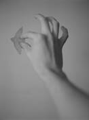 Debbie's Bird by Christian Bradley West