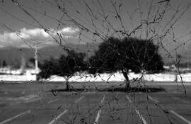 Shattered View by Jeremy Beckman