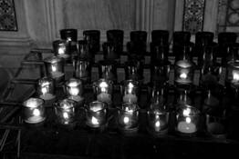 Offerings by John R. Ziemba