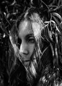 Willow Tresses by Linda Morrow