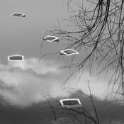 Discarded Information by Adrian Roland Davis