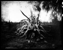 Titan 20 by Pepe Canabate