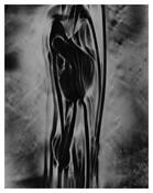 Cosmos 2 by Noubo Iida