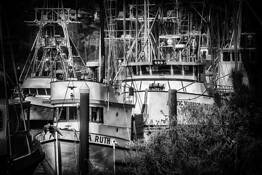 On Review by Allan R. Lamb