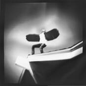 Leaving the Nest by Tootie Nienow