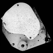 204 by Vincent Carney