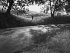 Early Morning Light by Jim Hanks