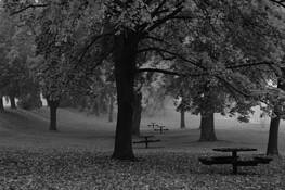 Sacajawea Park by Larry A. Kjorvested