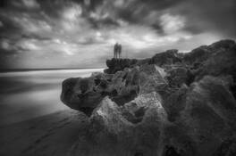 Coral Cove Study 3 by Sandra Canning