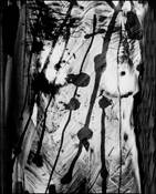 Nude Reconfigured #44 by Carole Usdan