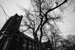 The Whirling Song by Pohan Wu