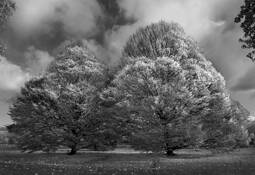 Double by Anne Setlakwe