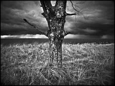 Kachina by Gale Nobes