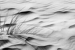Sand Waves by Marilyn Verducci