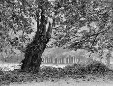 Snoqualmie Valley by Michael Frey