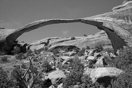 Red Rock-6 by William L. Witmer
