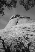 Red Rock-7 by William L. Witmer