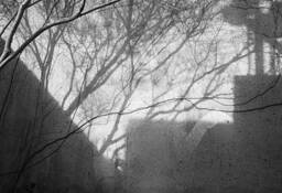 The Space Between by Lisa Folino