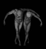 Hovering by Linda Hale