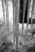 Icicles by Christopher Bezamat
