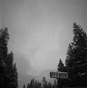 Untitled by Daniel Afzal