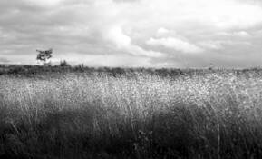 Holten by Geo Oplaat