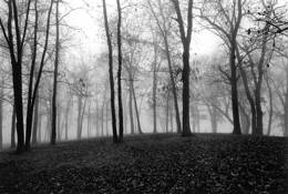 Rock Cut by James C. Wallar