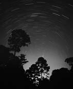 Whispers in the Dark by Moises Levy