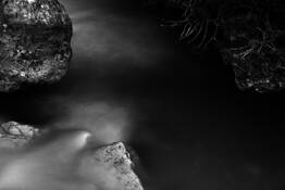 Flight by Alessandra Cevasco